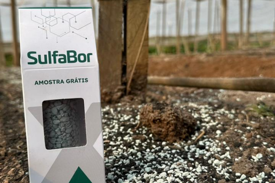 Incremento inteligente de boro é o novo aliado na produção de hortifrútis