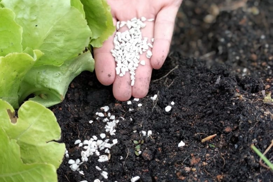 MaxiSolo realiza 3º Fórum do Solo em Santa Catarina com foco em alta performance produtiva