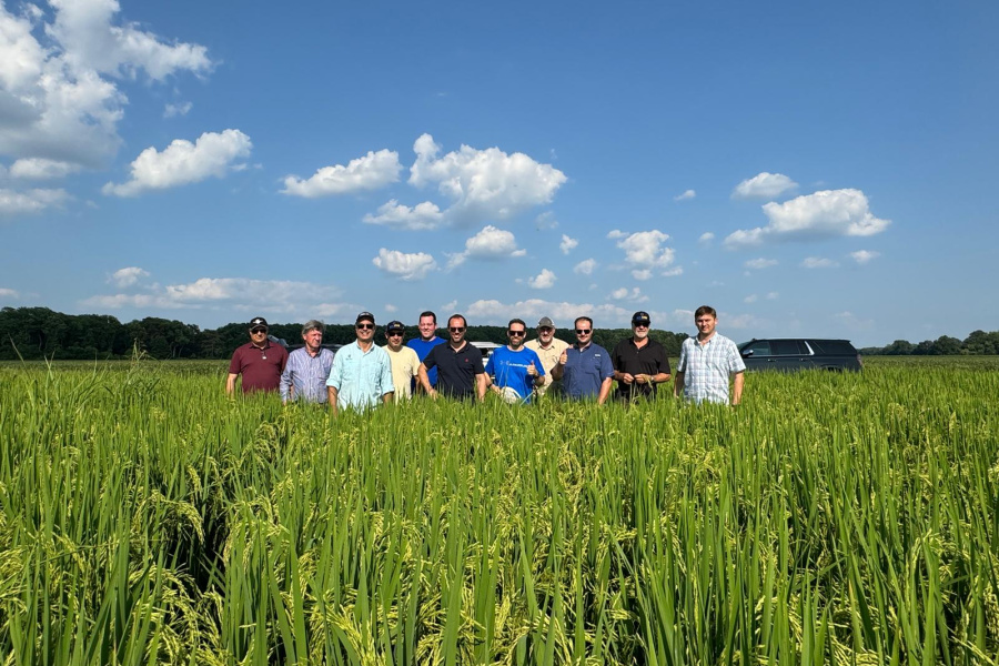 Arrozeiros brasileiros visitam lavouras de híbridos da RiceTec nos Estados Unidos