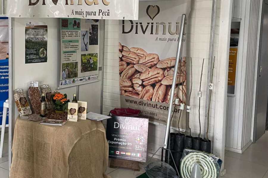EXPOINTER: Divinut celebra 25 anos e leva experiência internacional da noz-pecã à Expointer 2025